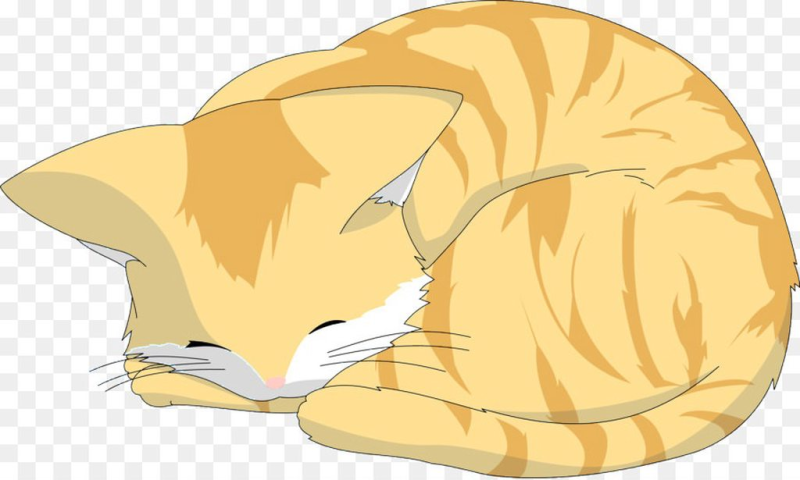 Спящий кот мультяшный