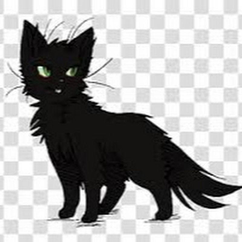 Кошка на прозрачном фоне
