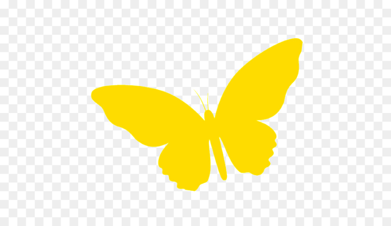 Желтая бабочка для детей