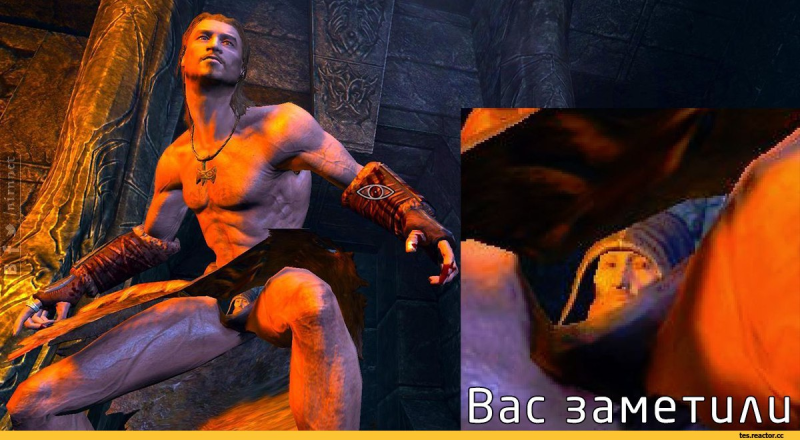 Вас заметили Мем скайрим