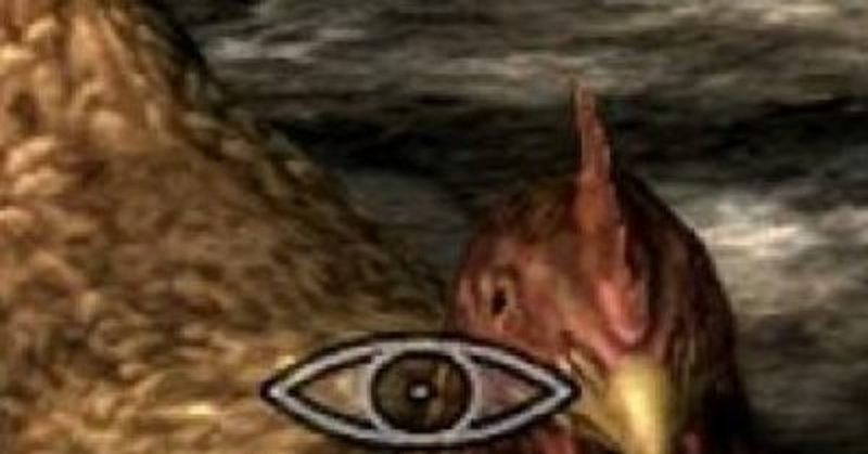 Вас заметили