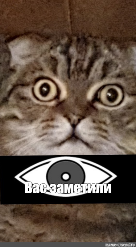 Вас заметили мемы