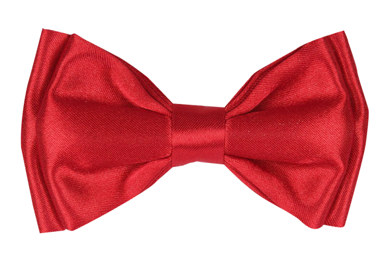 Бант -брошь