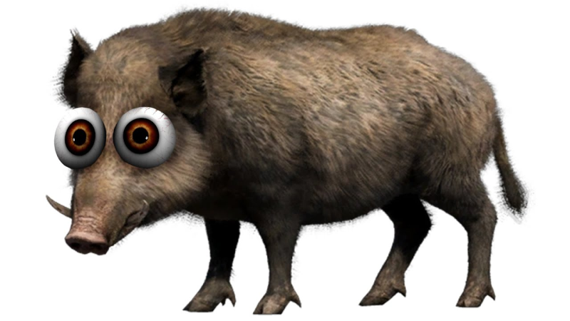 Дикие животные кабан для детей