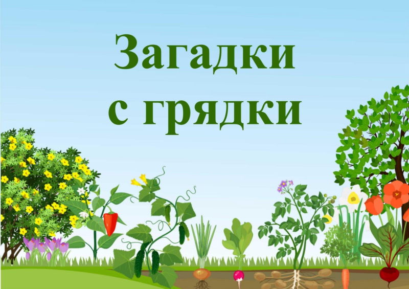 Огород для детей