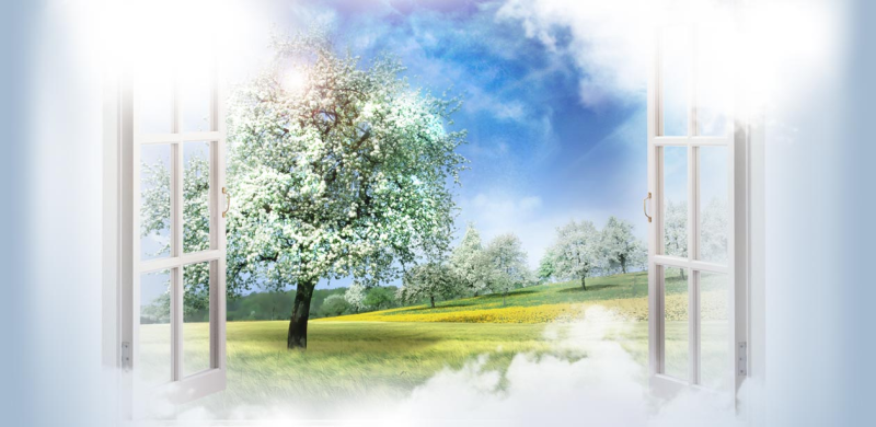 Весеннее окно