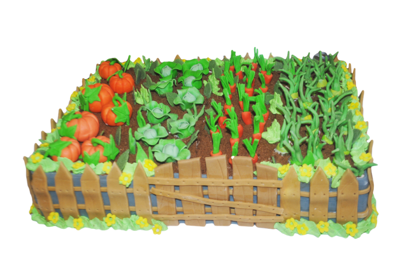 Огород для детей