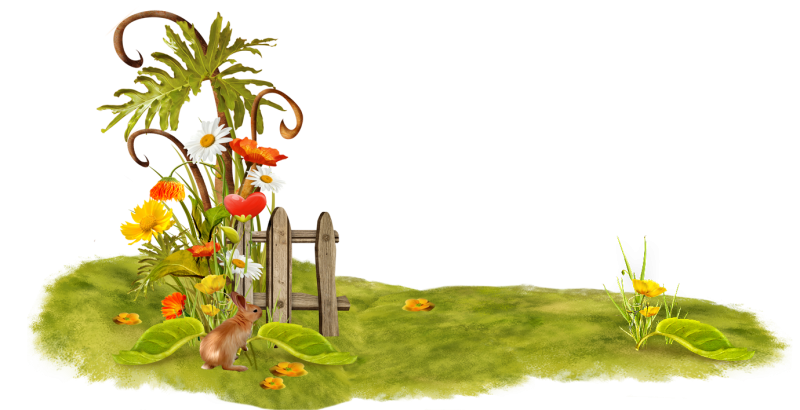 Сказочная трава