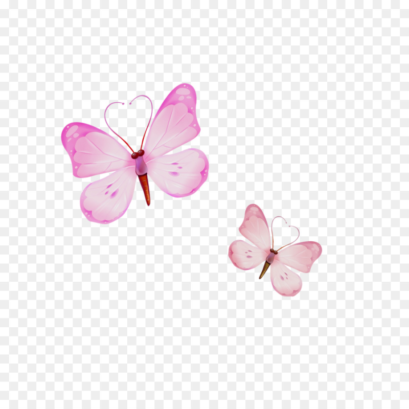 Бабочки розовые