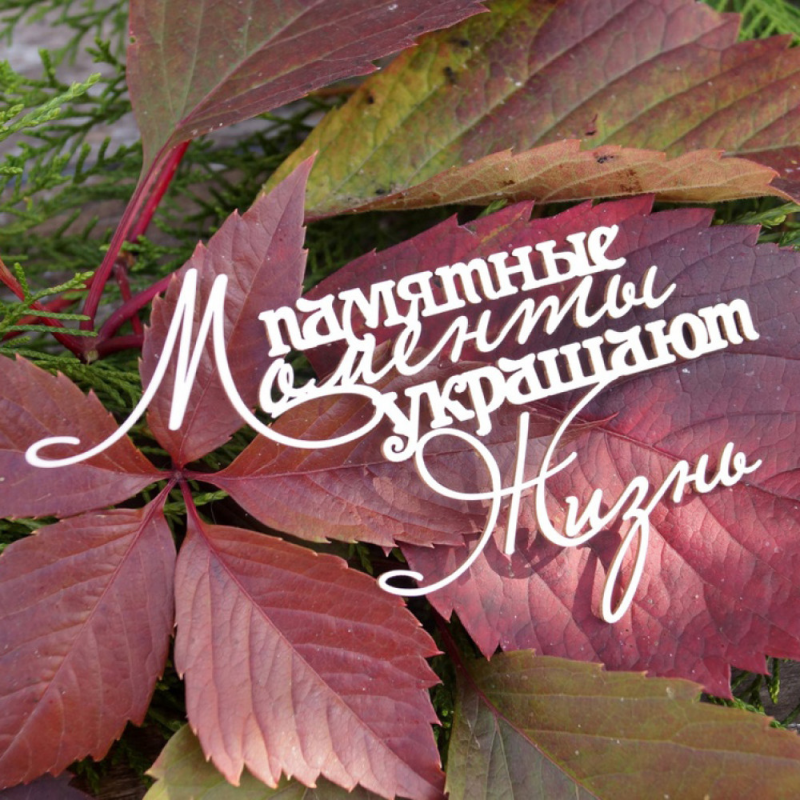 Моменты украшают жизнь