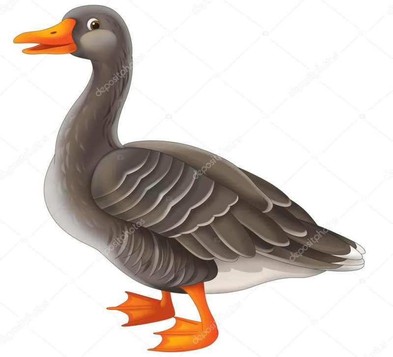 Гусь для детей