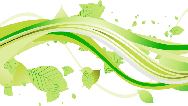 Зеленые узоры на белом фоне