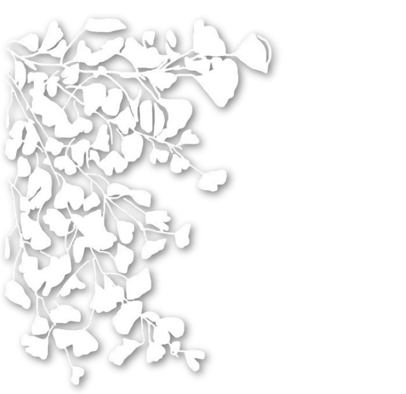 Белые элементы на прозрачном фоне