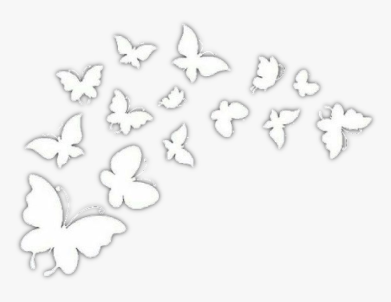 Белые бабочки на прозрачном фоне