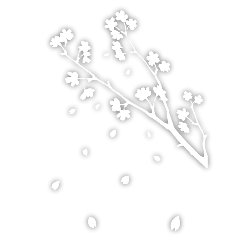 Украшение для волос без фона