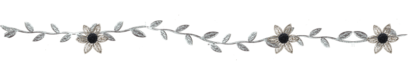 Красивые линии на прозрачном фоне