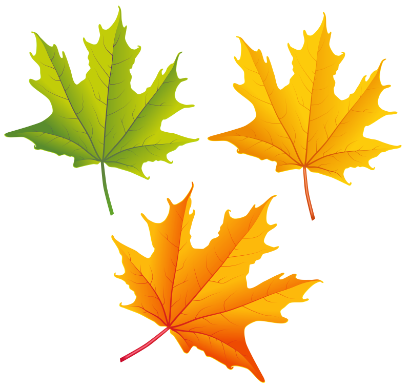 Осенние листья