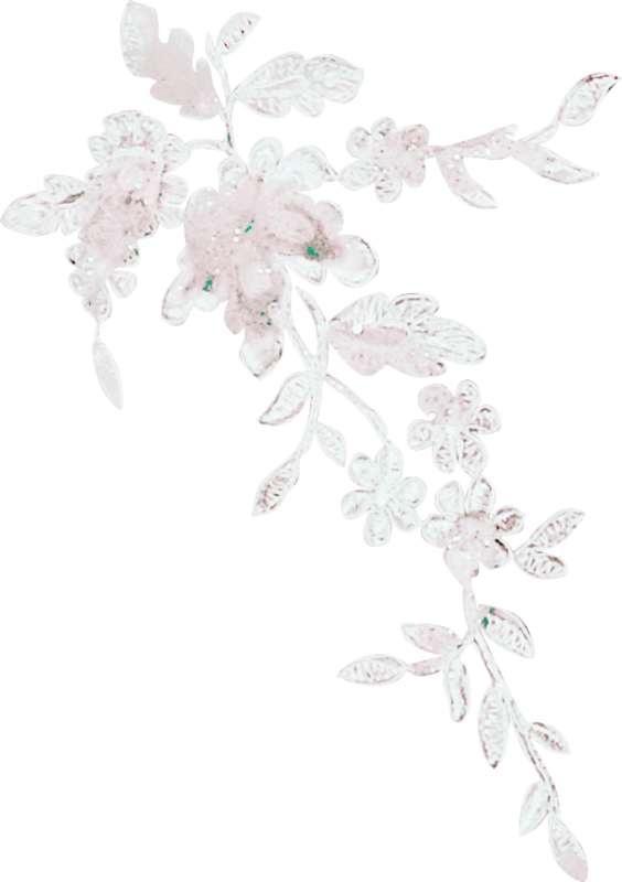 Свадебные украшения на белом фоне