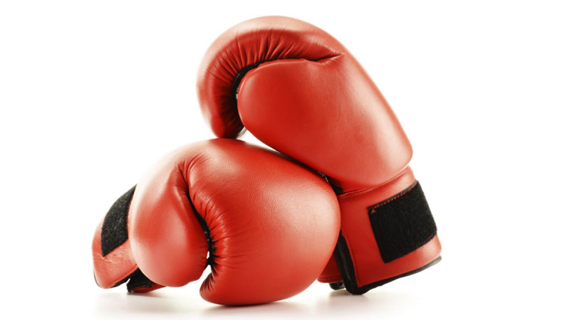 Боксерские перчатки Boxing Sport