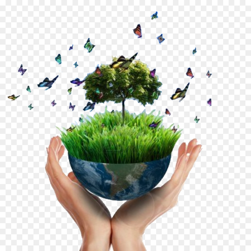 Природа экология