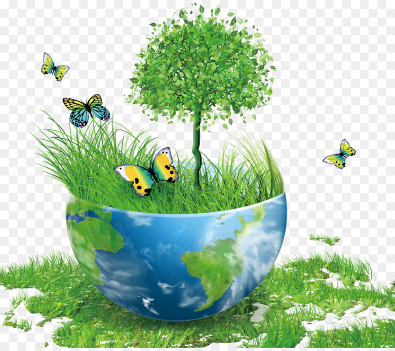 Экология для дошкольников