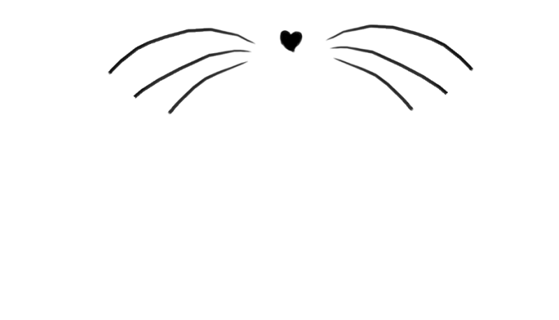 Кошачий нос на прозрачном фоне