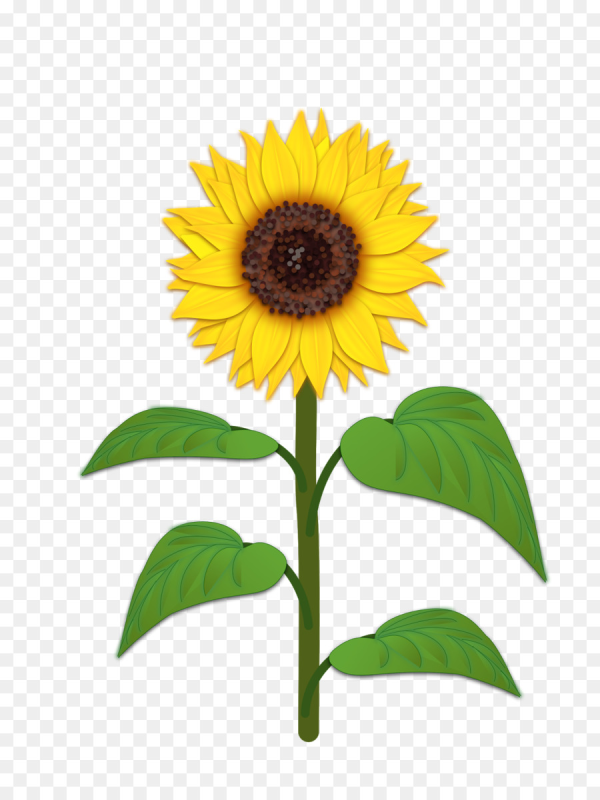 Подсолнух мультяшный
