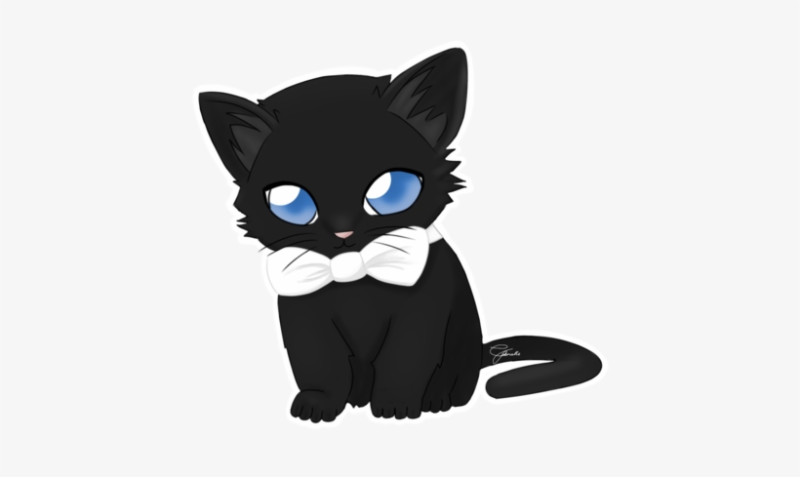 Кот картинка PNG без фона
