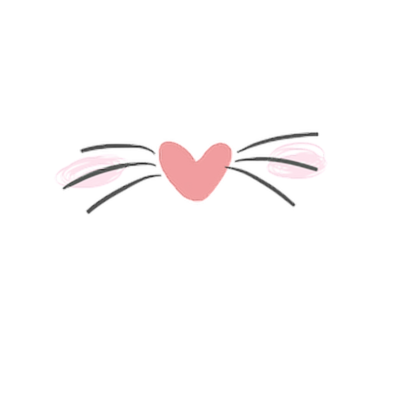 Кошачий нос без фона