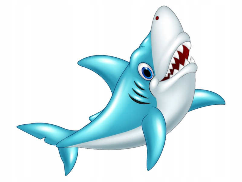 Акула рисунок