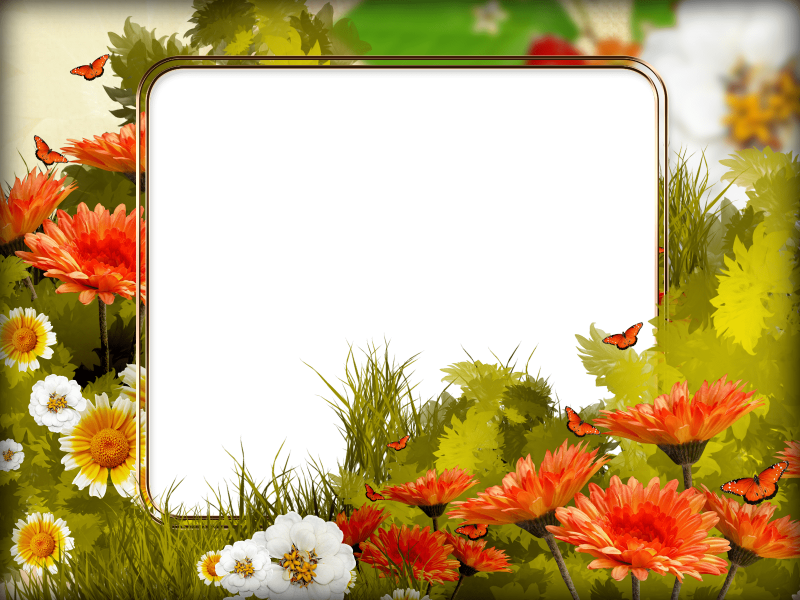 Рамка летняя на прозрачном фоне