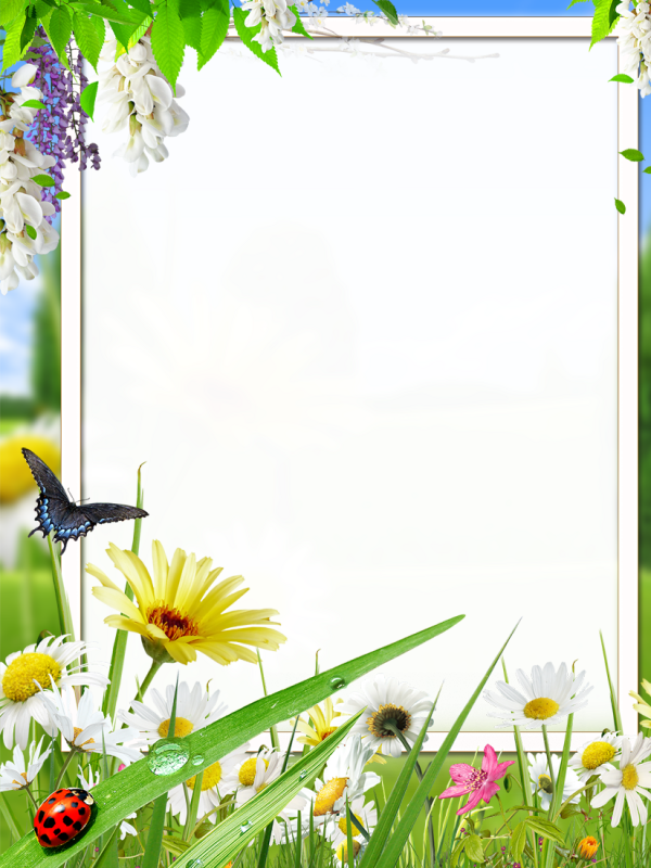 Рамка летняя вертикальная