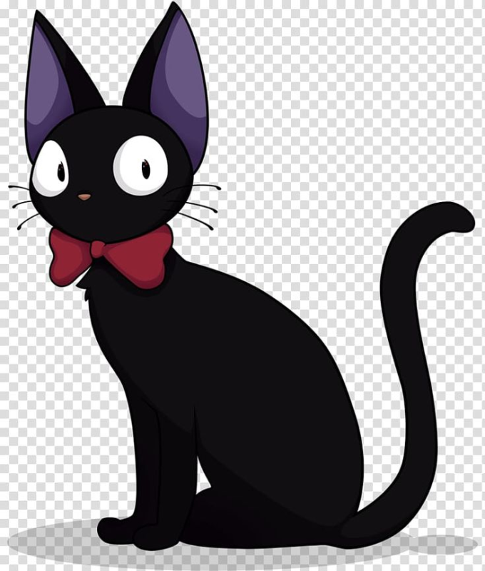 Jiji кот