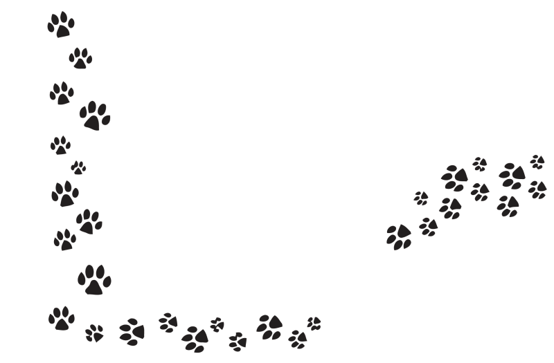 Следы лапок