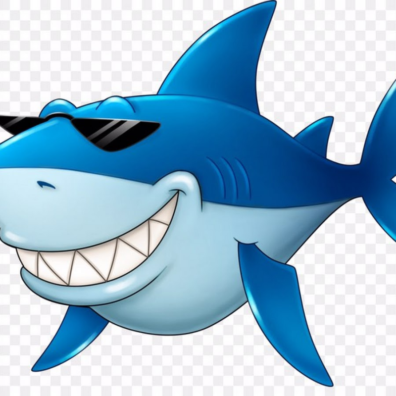 Акула рисунок