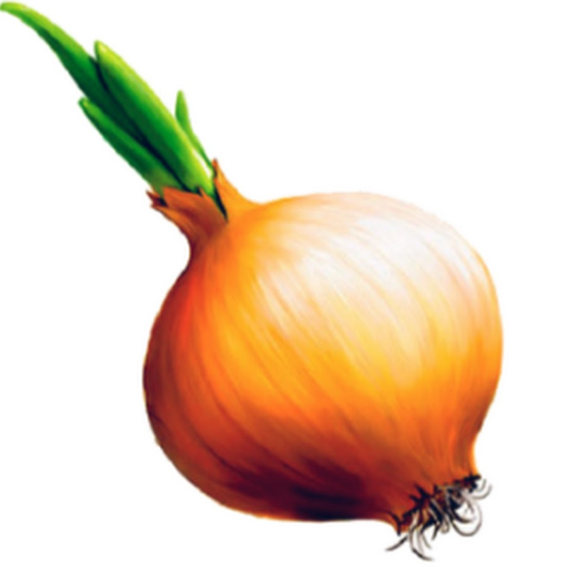 Луковица на белом фоне