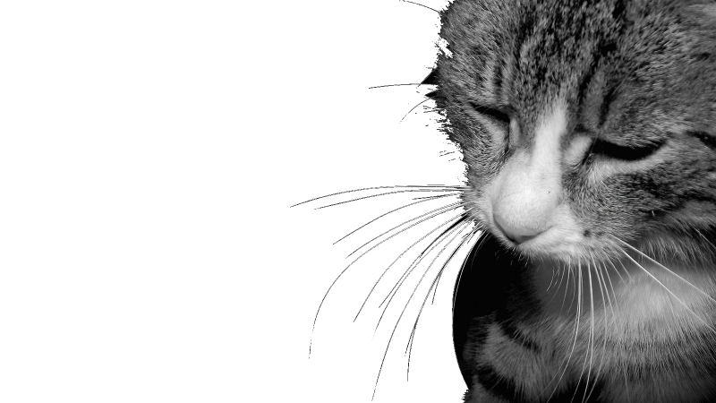 Грусть без фона