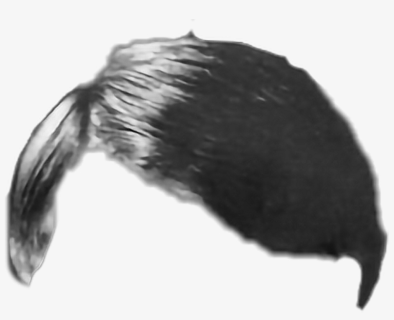 Усы Адольфа Гитлера