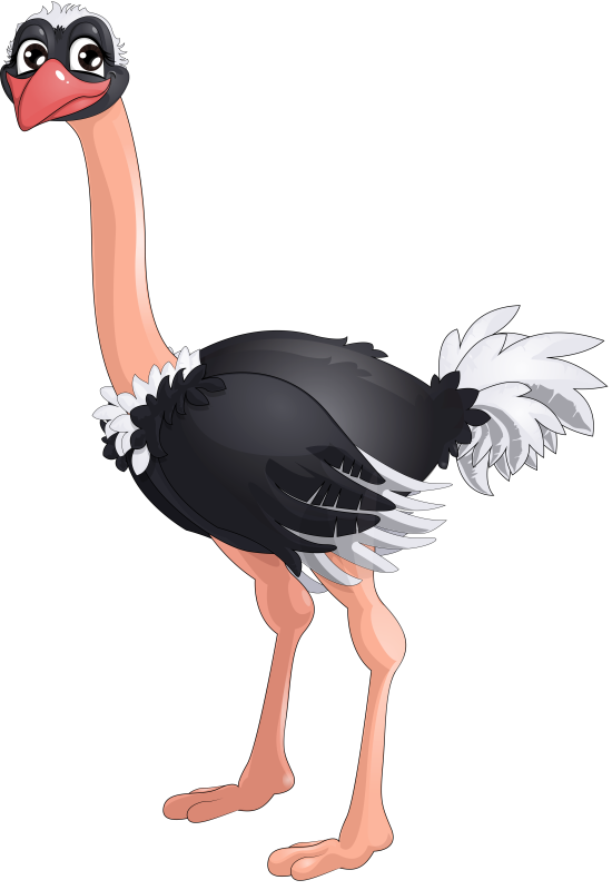 Страусенок эму