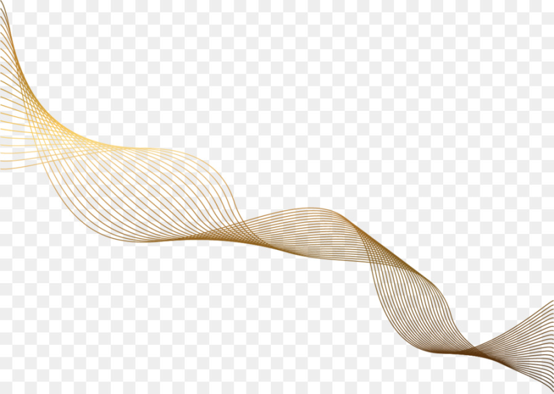 Волнистая линия на прозрачном фоне