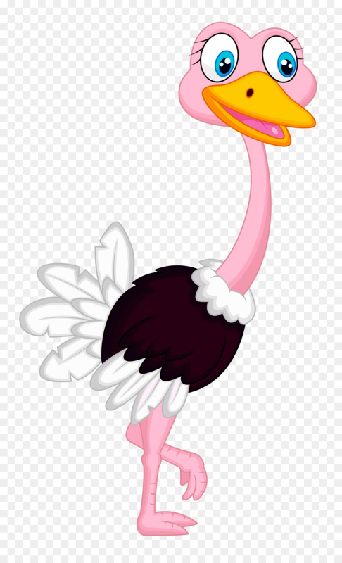 Мультяшные Страусы