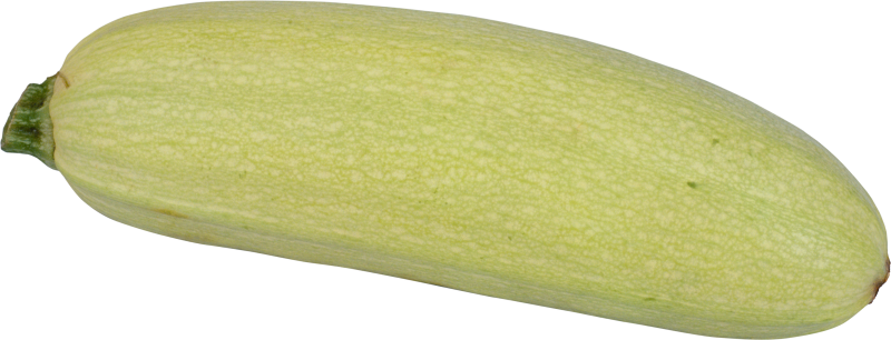 Кабачок овощ