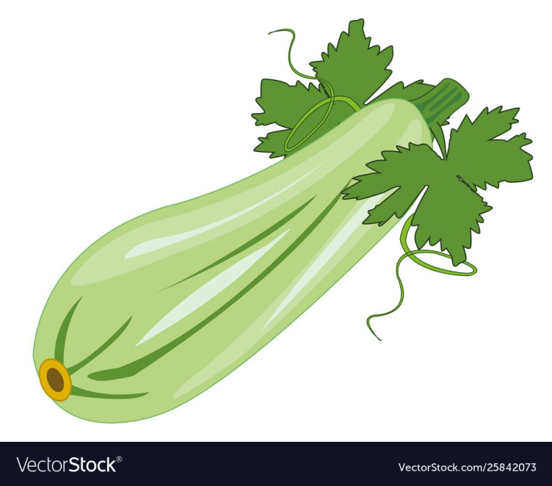 Кобачокдля детей