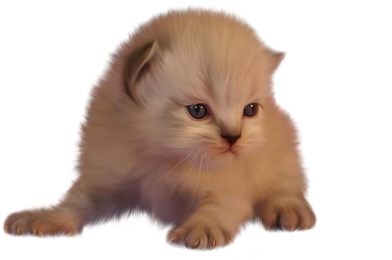 Животные на прозрачном фоне