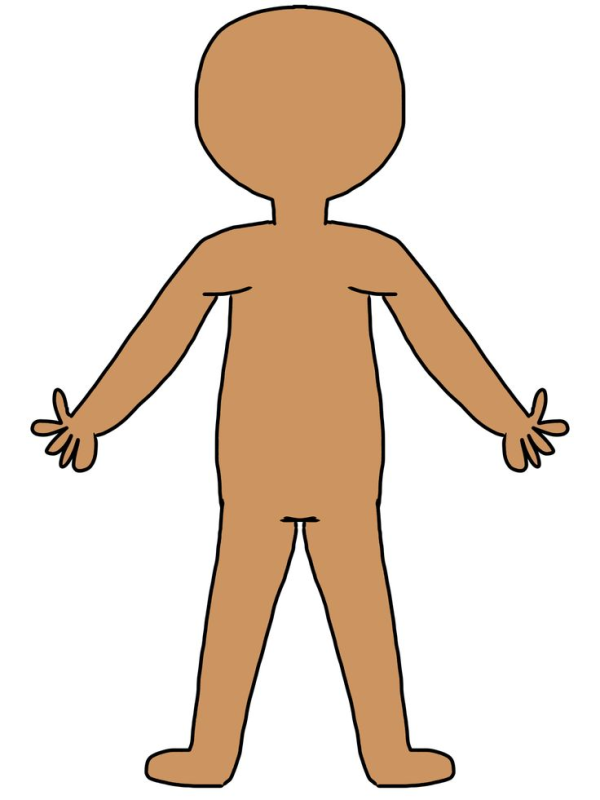 Туловище человека