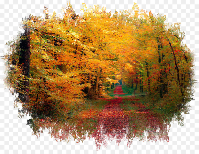 Осень на прозрачном фоне для фотошопа