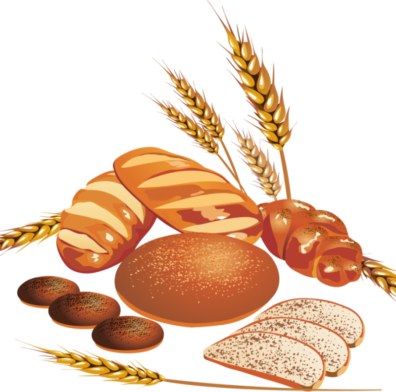 Хлеб картинка для детей