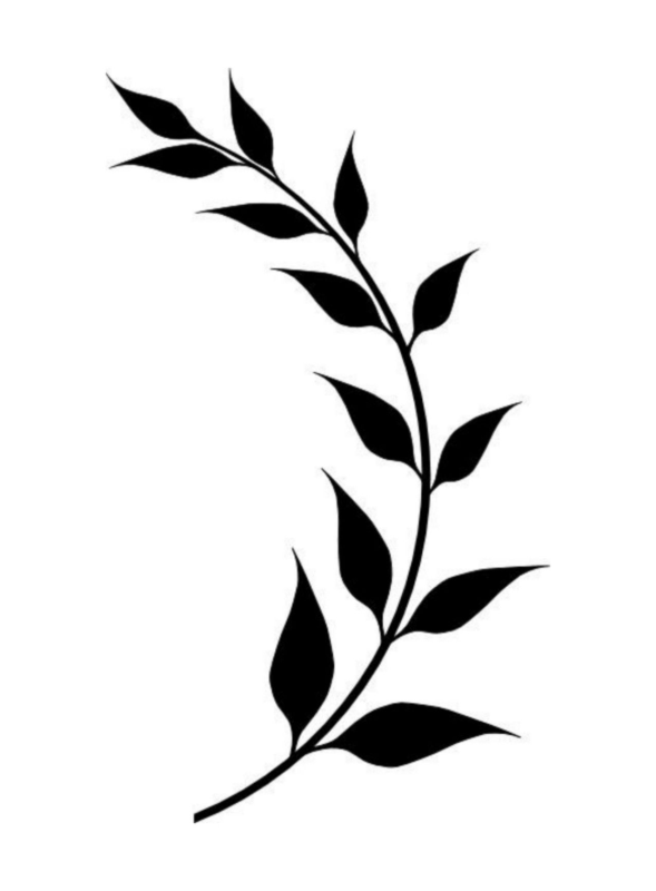 Ветка с листьями вектор