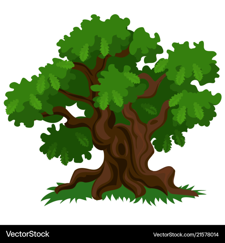 Дуб мультяшный