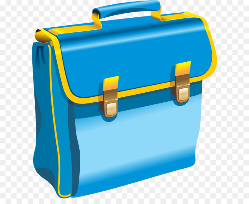 Портфель школьный